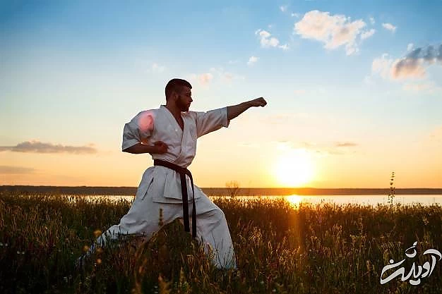 تفاوت های اصلی کاراته و تکواندو کاراته و تکواندو